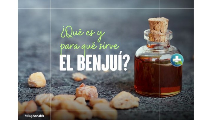 ¿Qué es y para qué sirve el Benjuí?